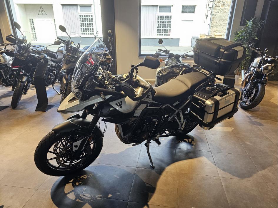 TRIUMPH Tiger 900 GT PRO 2024