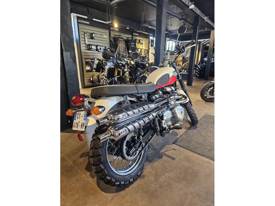 TRIUMPH SCRAMBLER 900